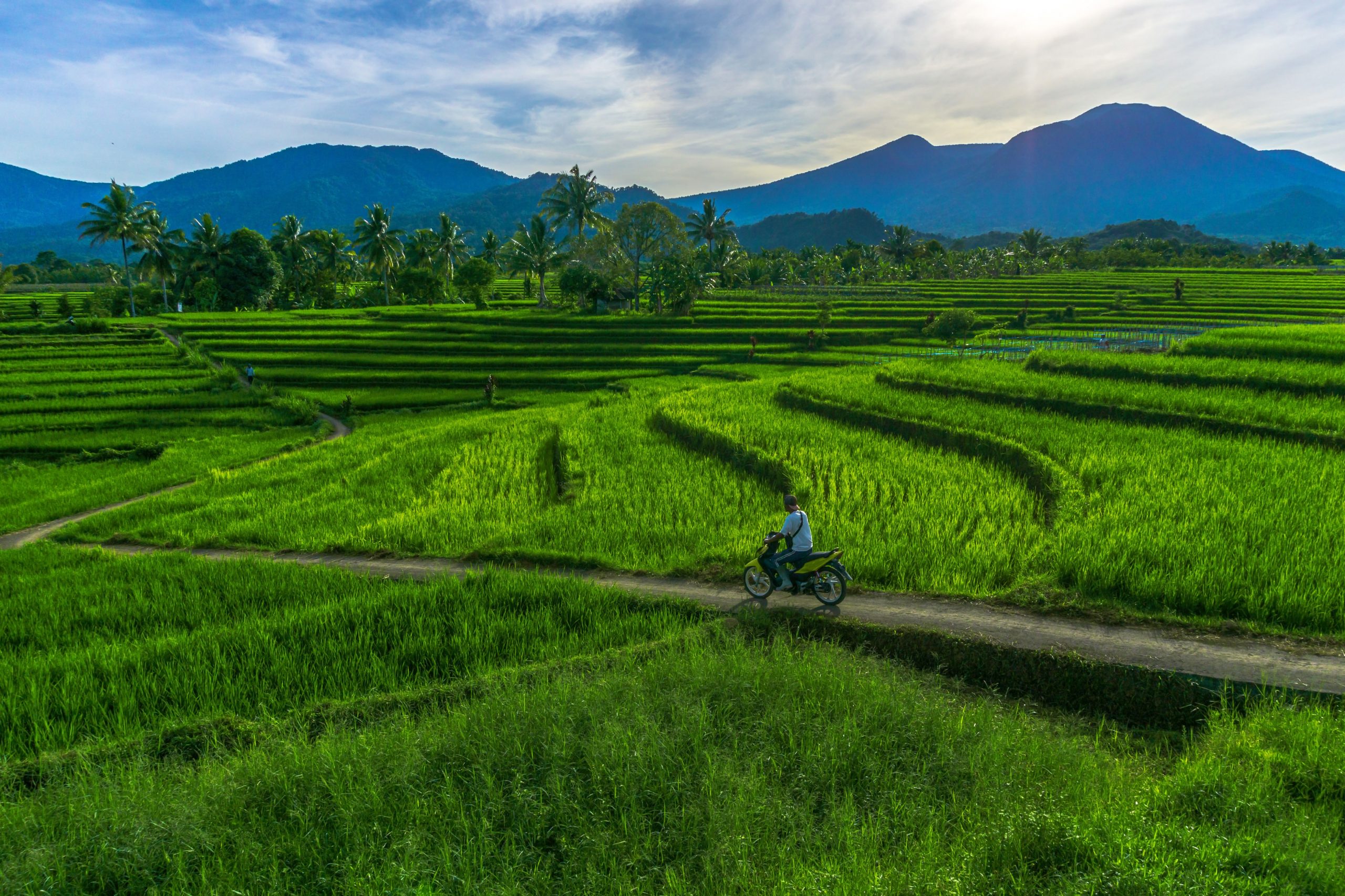 vecteezy indonesia s natural scenery with mountains and rice fields 10131588 73 scaled