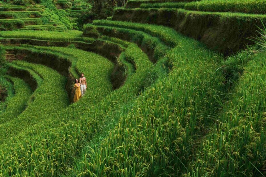 a man and a woman among the rice terraces a coupl 2023 11 27 04 51 43 utc 1024x684 1