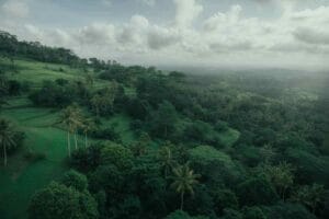 Bali Re Greening Eco Stays and Tree Planting Tour2025 10 31T014635.838Z