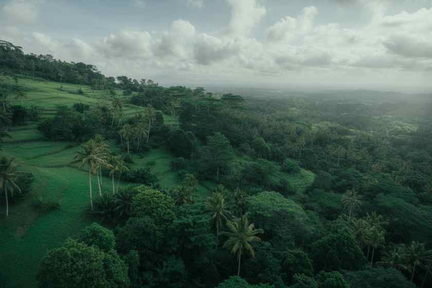 Bali Re Greening Eco Stays and Tree Planting Tour2025 10 31T014635.838Z