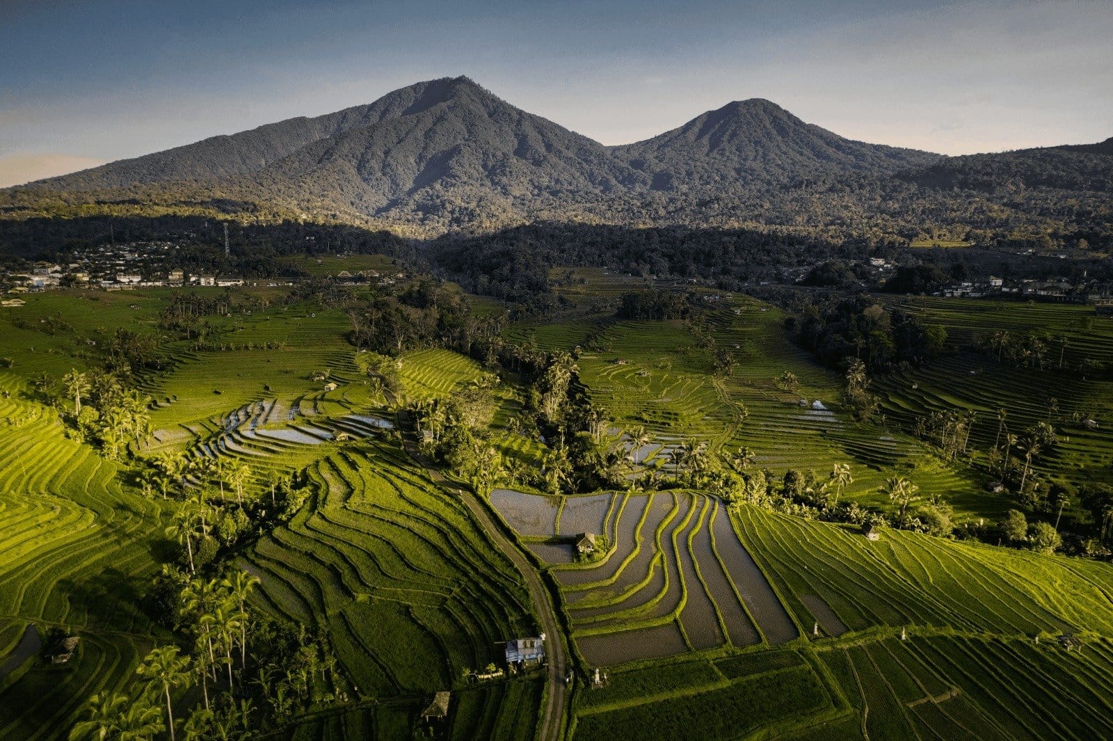 13 Bali Rice Terraces Worth the Trip — Best Photo Spots, Cafes and Day ...